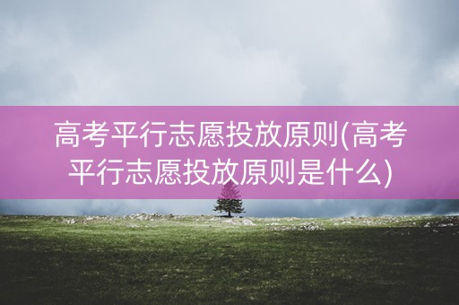 高考平行志愿投放原则(高考平行志愿投放原则是什么)