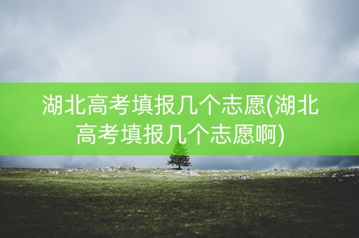 湖北高考填报几个志愿(湖北高考填报几个志愿啊)