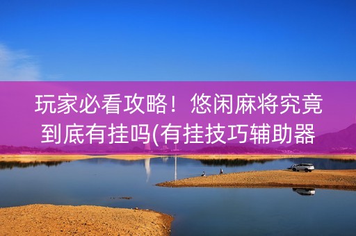 玩家必看攻略！悠闲麻将究竟到底有挂吗(有挂技巧辅助器)