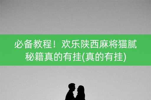 必备教程！欢乐陕西麻将猫腻秘籍真的有挂(真的有挂)