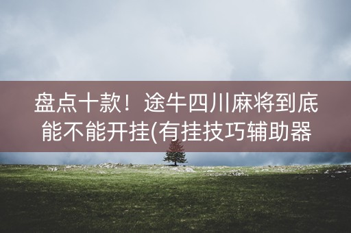 盘点十款！途牛四川麻将到底能不能开挂(有挂技巧辅助器)