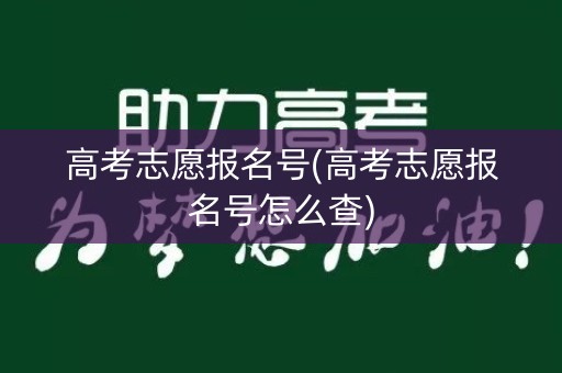 高考志愿报名号(高考志愿报名号怎么查)