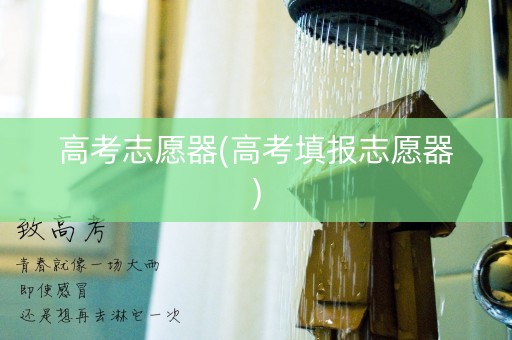 高考志愿器(高考填报志愿器)