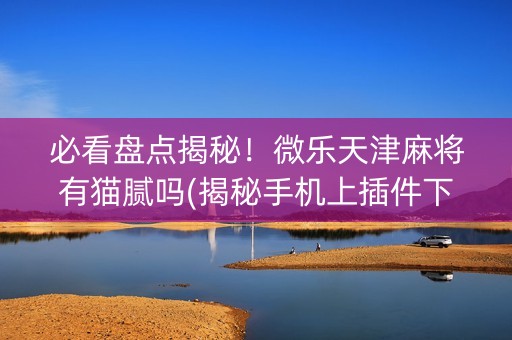 必看盘点揭秘！微乐天津麻将有猫腻吗(揭秘手机上插件下载)