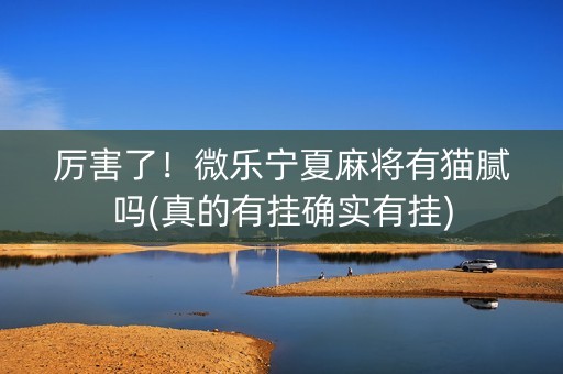 厉害了！微乐宁夏麻将有猫腻吗(真的有挂确实有挂)