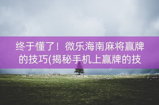 终于懂了！微乐海南麻将赢牌的技巧(揭秘手机上赢牌的技巧)