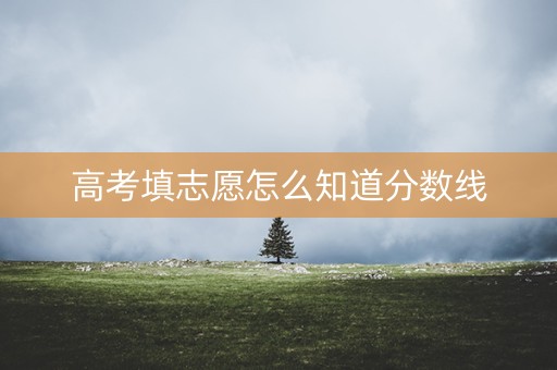 高考填志愿怎么知道分数线