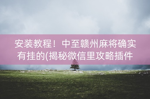安装教程！中至赣州麻将确实有挂的(揭秘微信里攻略插件)