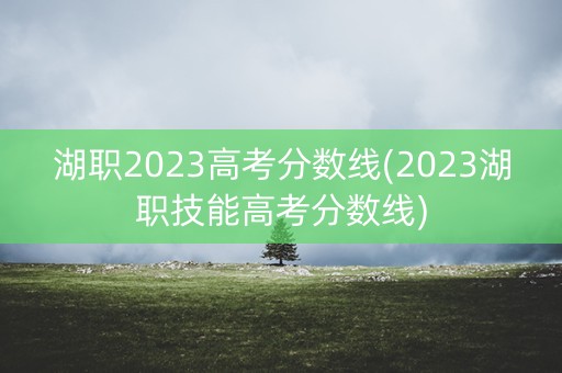 湖职2023高考分数线(2023湖职技能高考分数线)