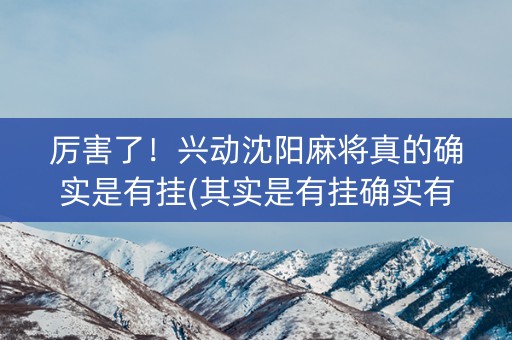 厉害了！兴动沈阳麻将真的确实是有挂(其实是有挂确实有挂)