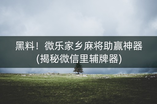 黑料！微乐家乡麻将助赢神器(揭秘微信里辅牌器)