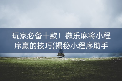 玩家必备十款！微乐麻将小程序赢的技巧(揭秘小程序助手软件)