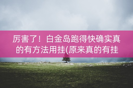 厉害了！白金岛跑得快确实真的有方法用挂(原来真的有挂)