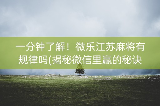 一分钟了解！微乐江苏麻将有规律吗(揭秘微信里赢的秘诀)