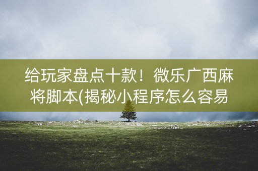 给玩家盘点十款！微乐广西麻将脚本(揭秘小程序怎么容易赢)