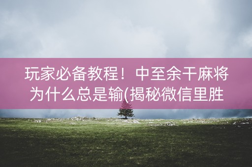 玩家必备教程！中至余干麻将为什么总是输(揭秘微信里胜率到哪调)