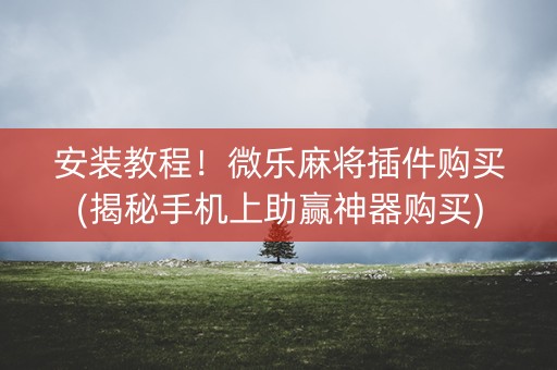 安装教程！微乐麻将插件购买(揭秘手机上助赢神器购买)