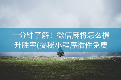 一分钟了解！微信麻将怎么提升胜率(揭秘小程序插件免费)