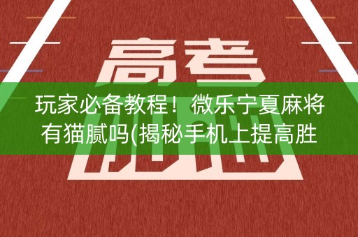 玩家必备教程！微乐宁夏麻将有猫腻吗(揭秘手机上提高胜率)