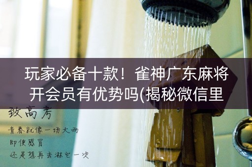 玩家必备十款！雀神广东麻将开会员有优势吗(揭秘微信里专用神器)