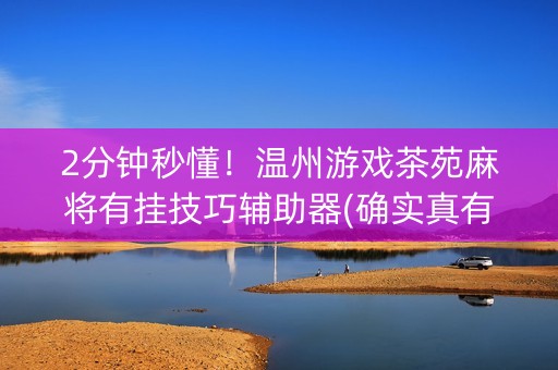 2分钟秒懂！温州游戏茶苑麻将有挂技巧辅助器(确实真有挂)