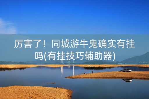 厉害了！同城游牛鬼确实有挂吗(有挂技巧辅助器)