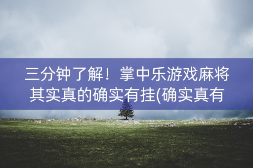 三分钟了解！掌中乐游戏麻将其实真的确实有挂(确实真有挂)