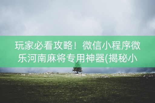 玩家必看攻略！微信小程序微乐河南麻将专用神器(揭秘小程序辅牌器)
