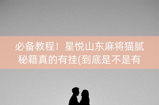 必备教程！星悦山东麻将猫腻秘籍真的有挂(到底是不是有挂)
