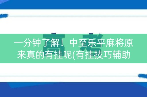 一分钟了解！中至乐平麻将原来真的有挂呢(有挂技巧辅助器)