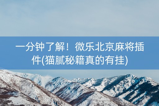 一分钟了解！微乐北京麻将插件(猫腻秘籍真的有挂)