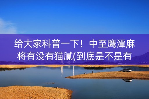 给大家科普一下！中至鹰潭麻将有没有猫腻(到底是不是有挂)