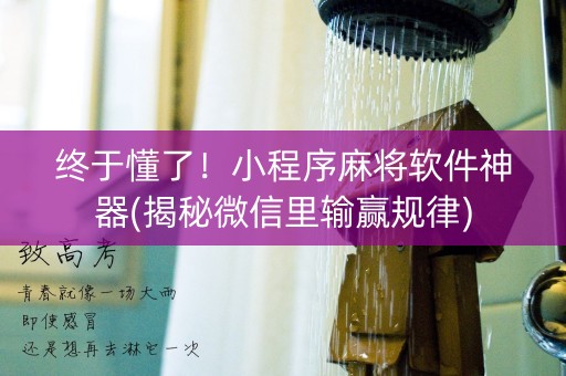 终于懂了！小程序麻将软件神器(揭秘微信里输赢规律)