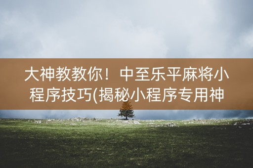 大神教教你！中至乐平麻将小程序技巧(揭秘小程序专用神器)