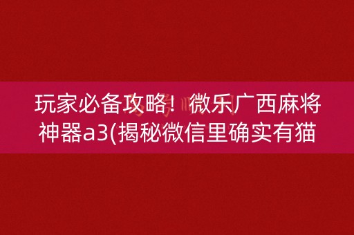 玩家必备攻略！微乐广西麻将神器a3(揭秘微信里确实有猫腻)