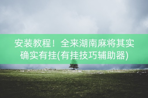 安装教程！全来湖南麻将其实确实有挂(有挂技巧辅助器)