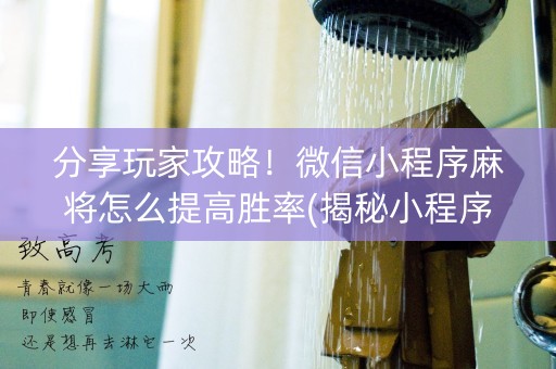 分享玩家攻略！微信小程序麻将怎么提高胜率(揭秘小程序赢牌的技巧)