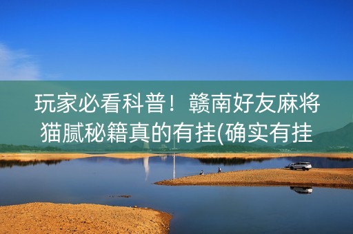 玩家必看科普！赣南好友麻将猫腻秘籍真的有挂(确实有挂)