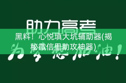 黑料！心悦填大坑辅助器(揭秘微信里助攻神器)