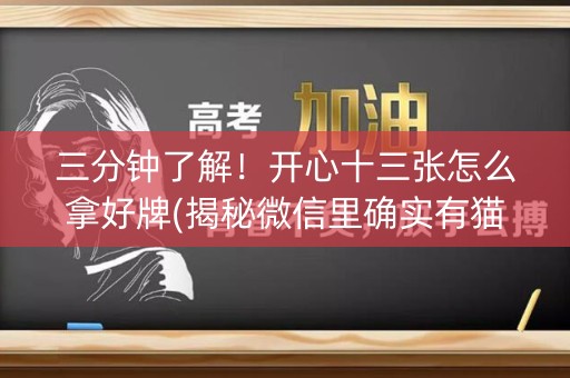 三分钟了解！开心十三张怎么拿好牌(揭秘微信里确实有猫腻)