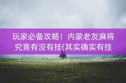 玩家必备攻略！内蒙老友麻将究竟有没有挂(其实确实有挂)