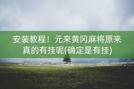 安装教程！元来黄冈麻将原来真的有挂呢(确定是有挂)