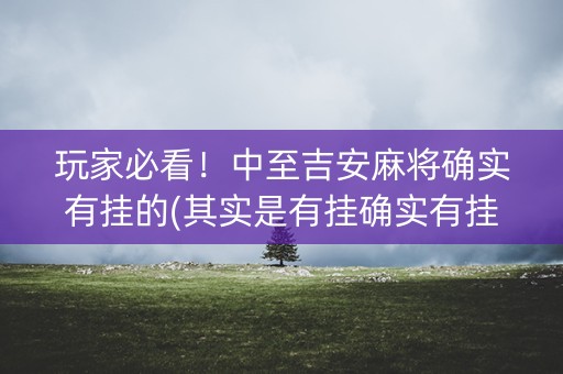 玩家必看！中至吉安麻将确实有挂的(其实是有挂确实有挂)