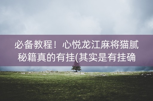 必备教程！心悦龙江麻将猫腻秘籍真的有挂(其实是有挂确实有挂)