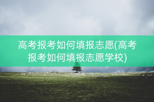 高考报考如何填报志愿(高考报考如何填报志愿学校)
