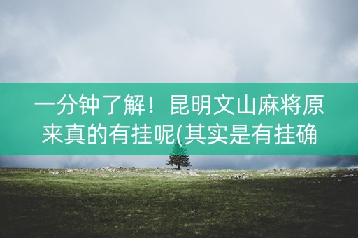 一分钟了解！昆明文山麻将原来真的有挂呢(其实是有挂确实有挂)