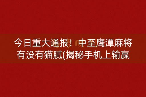 今日重大通报！中至鹰潭麻将有没有猫腻(揭秘手机上输赢技巧)