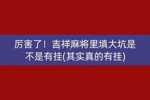 厉害了！吉祥麻将里填大坑是不是有挂(其实真的有挂)