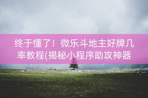 终于懂了！微乐斗地主好牌几率教程(揭秘小程序助攻神器)