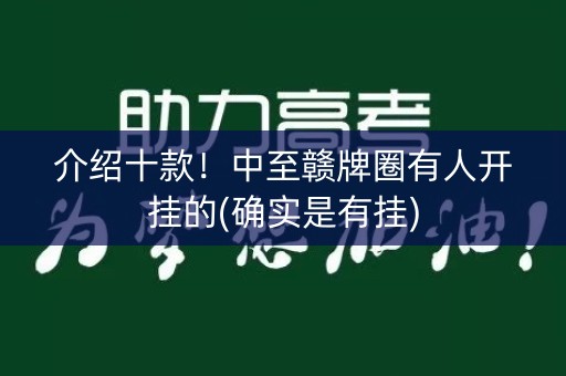 介绍十款！中至赣牌圈有人开挂的(确实是有挂)